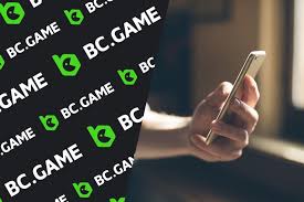 Exploring BC.Game IN Casino A New Era of Online Gaming