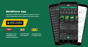 Explore the BetWinner Platform Your Gateway to Online Betting