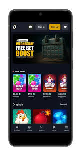 Discover the Bitfortune Mobile Casino Notifications and Features