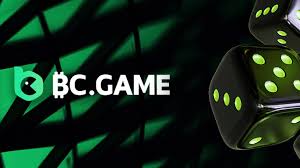 Maximize Your Winnings Exploring the Bonus BC.Game