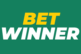 BetWinner Betting Platform Your Guide to Online Gaming