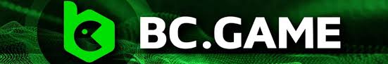 Understanding the Privacy Policy of BC.Game India 973884113