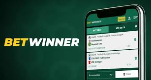 Everything You Need to Know About BetWinner -808917214