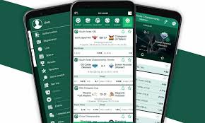 Log In to Your BetWinner A Complete Guide